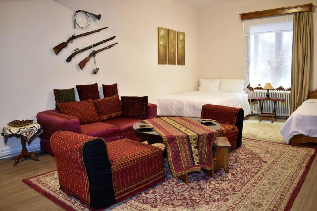 Eufrosini Guesthouse Metsovo Exterior photo